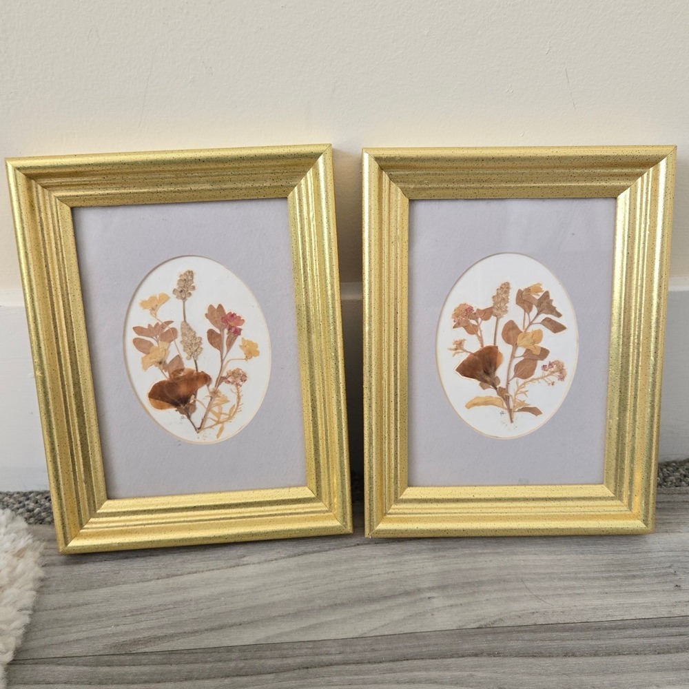 Pressed Dried Flower Botanical Wall Art Set of 2 Gold Frames Cottagecore Floral